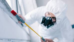 Pest Control for Restaurants and Food Service in Independence, LA